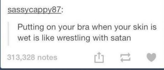 tumblr - diagram - sassycappy87 Putting on your bra when your skin is wet is wrestling with satan 313,328 notes