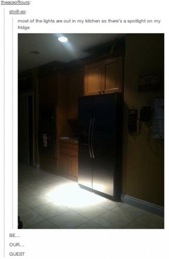 tumblr - Humour - theaceoffours shrillex most of the lights are out in my kitchen so there's a spotlight on my fridge Be... Our... Guest