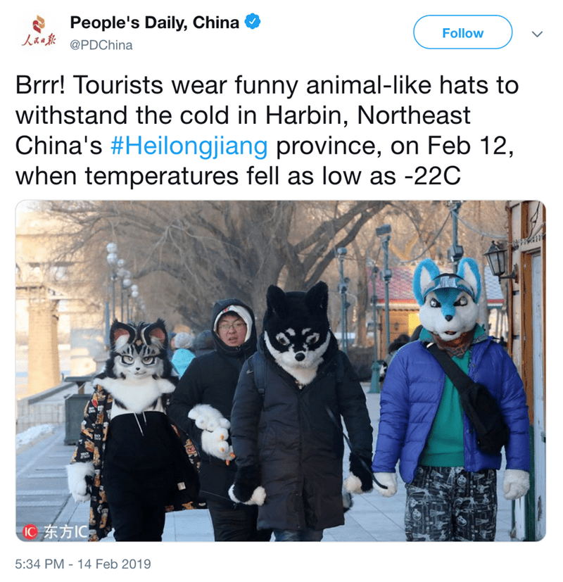 cold furry - People's Daily, China Latest v Brrr! Tourists wear funny animal hats to withstand the cold in Harbin, Northeast China's province, on Feb 12, when temperatures fell as low as 22C Ic Ic