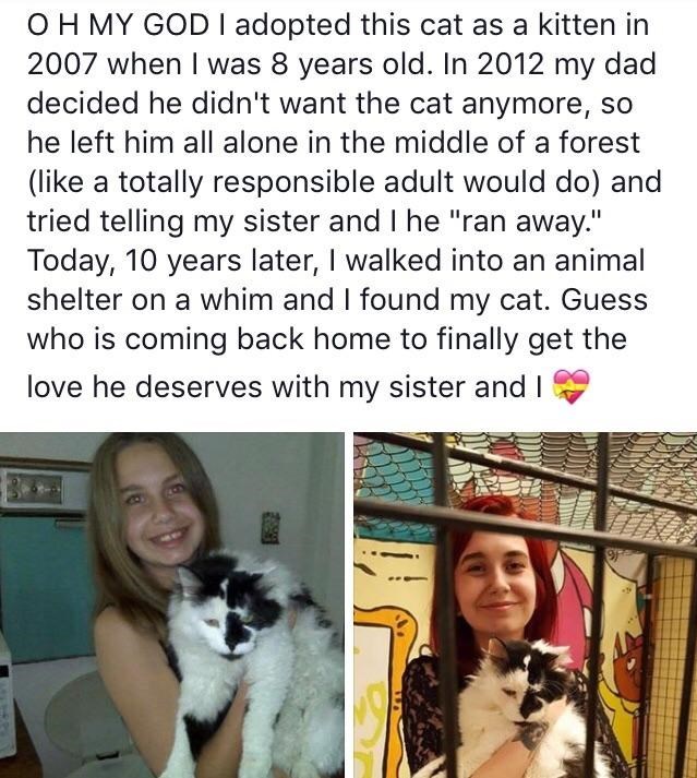 Cat - Oh My God I adopted this cat as a kitten in 2007 when I was 8 years old. In 2012 my dad decided he didn't want the cat anymore, so he left him all alone in the middle of a forest a totally responsible adult would do and tried telling my sister and I