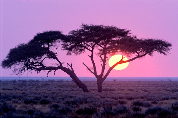Beauty of Africa