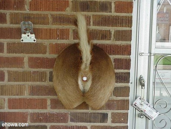 this is a weird doorbell...