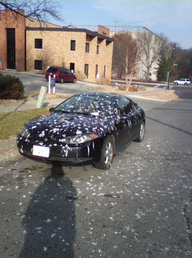 This car got bird pooped and ticketed!!