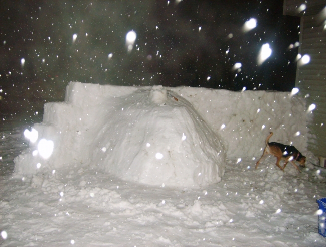 The back of our snow fort which was over 4 feet high and 12 feet long