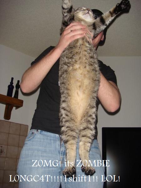 Zombie Longcat is LOOOOONG