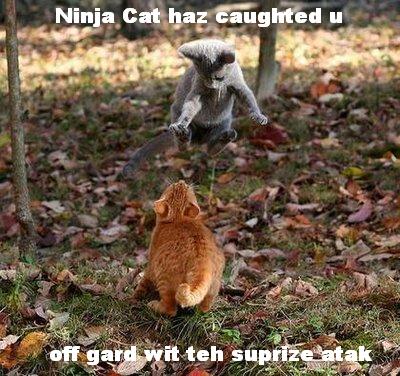 LOLcats