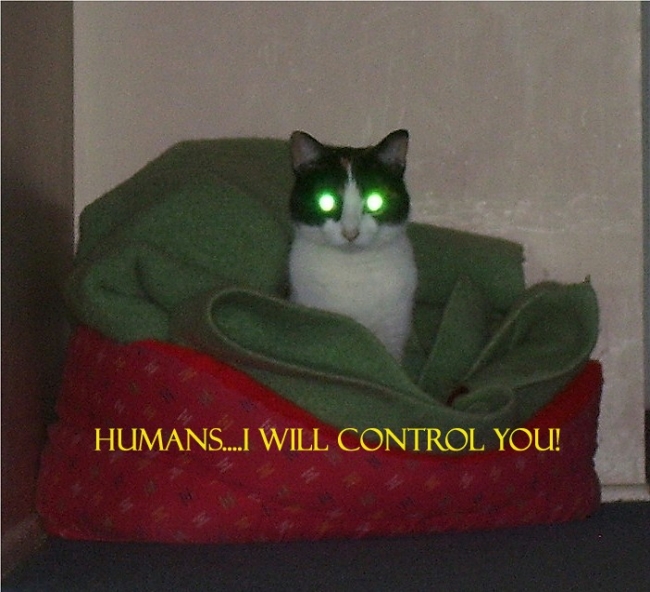Humans .........you are under my control