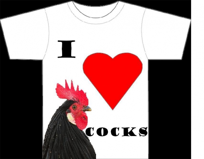I love cocks