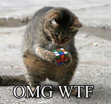 a cat's attempt at the rubix cube...or whatever its called...