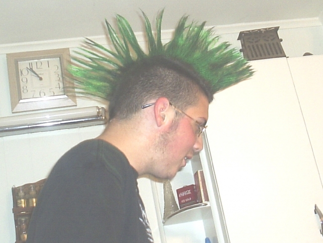 this is when my cousin fucked my mohawk all up