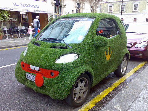 Grass Cars and Cardens