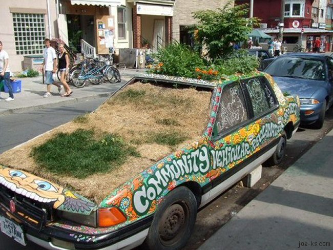 Grass Cars and Cardens