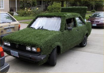 Grass Cars and Cardens