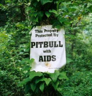 pitbull with aids - This Property Protected By Pitbull with Aids