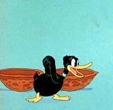 Evolution of Daffy Duck