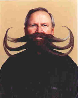 Anyone for a Moustache Ride?