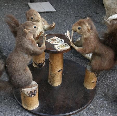 squirrels playing poker