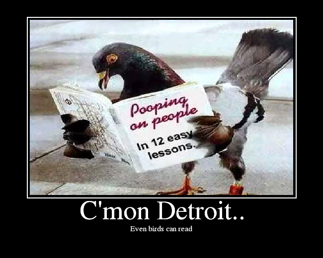 Even birds can read