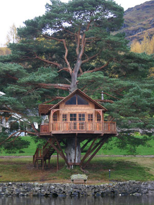 Amazing Tree Houses