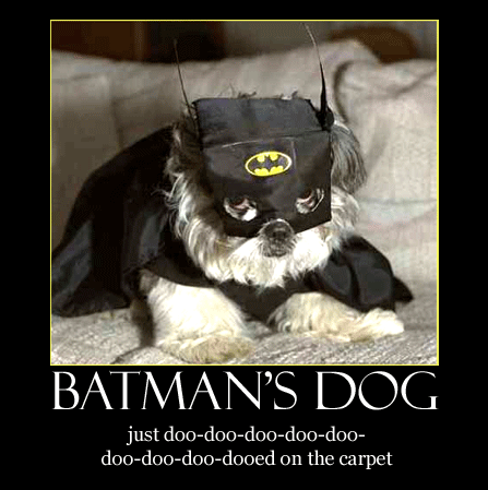 Alas, Batman suffers as all dog owners must when it comes to housebreaking them...