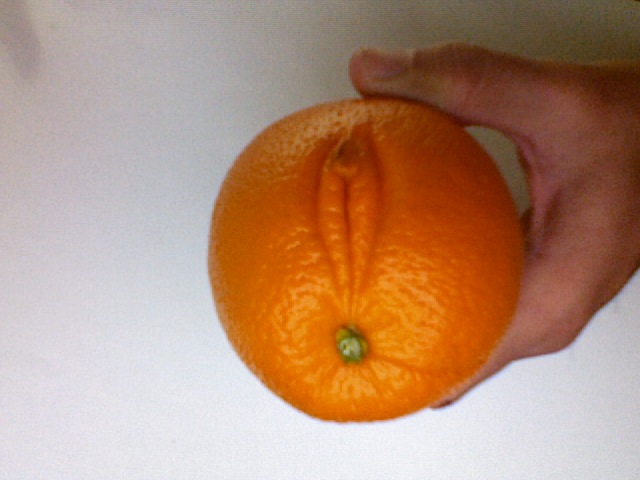 An actual orange found in the grocery store with female anatomy