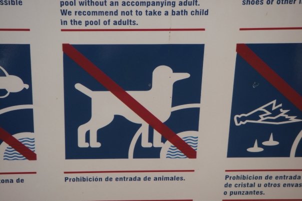 We recommend not to take a bath child in the pool of adults?...and no duck dogs allowed?