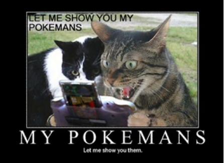 Every one has played pokemon, even cats teh cats.