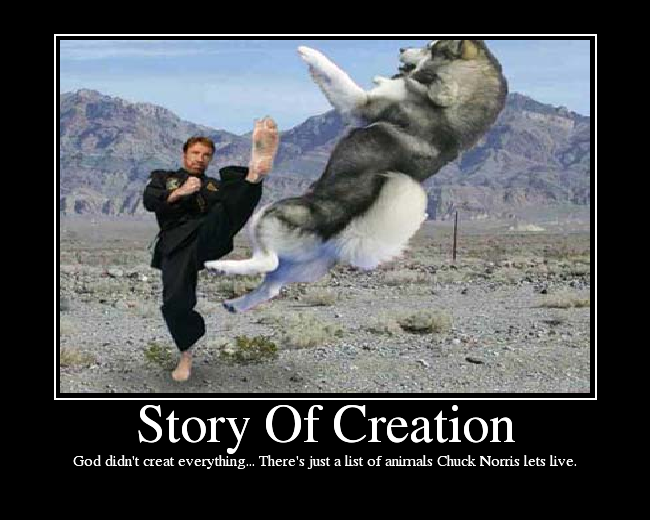 God didn't creat everything... There's just a list of animals Chuck Norris lets live.