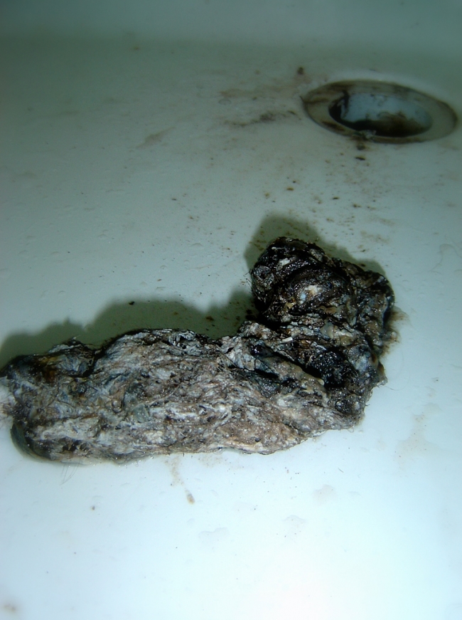 This is a real picture of a hairball stucked in a shower plumbing pipe. Gross!