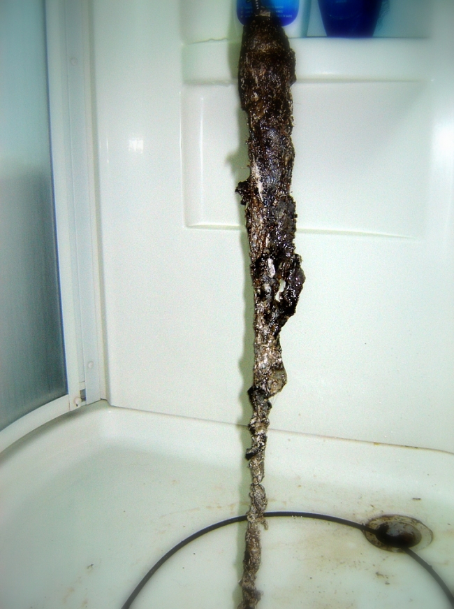 Another hairball stucked in a shower plumbing piper. Gross!