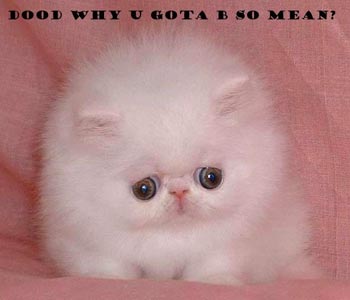 funny cat your mean - Dood Why U Gota Bso Mean?