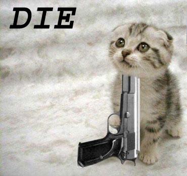 funny cat with gun - Die