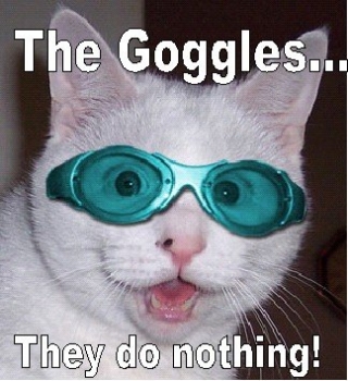 funny cat lets do coke cat - The Goggles.. They do nothing!
