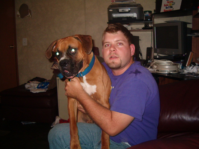 this is my fullblooded boxer, his name is clubber and weighs 92 lbs.