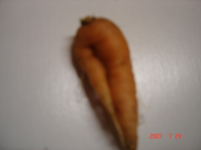 Sexy Ass Carrot