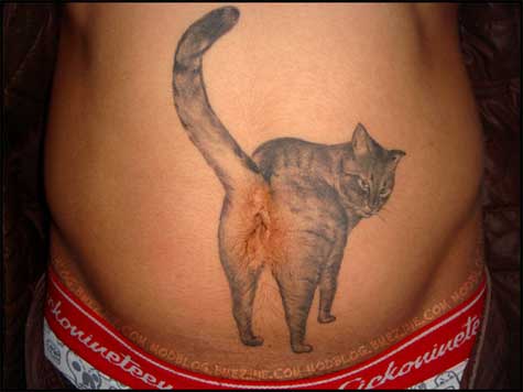 evil cats - belly button tattoo funny