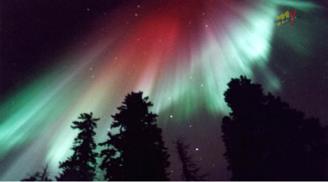 Beautiful pictures of the northern lights!