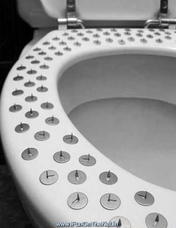 Weird Toilet Seats