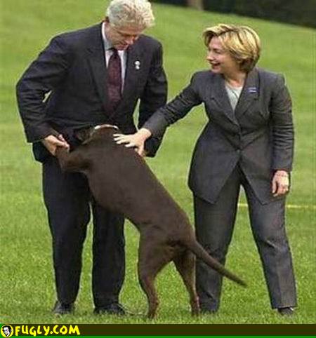 Funny pics of the Clintons
