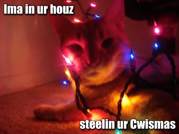 Yay for lolcats!