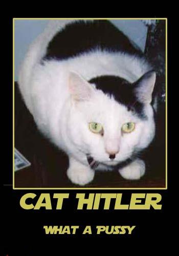 Cat hitler
