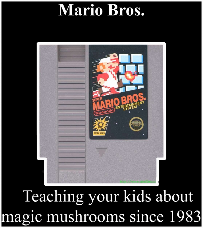 Mario Bros.
Teaching your kids about magic mushrooms since 1983