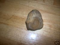 A rock shaped like Obama's ear.