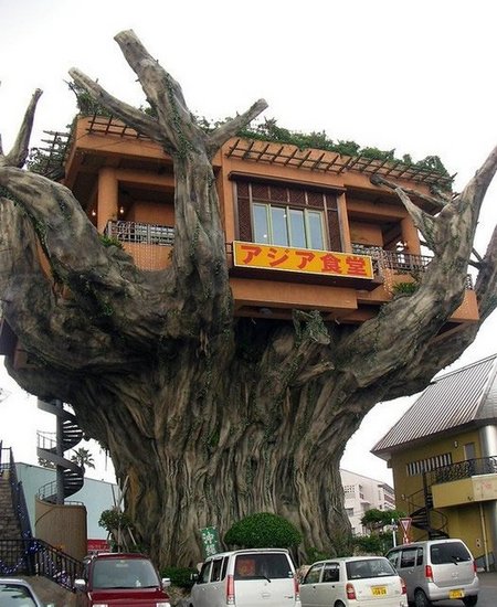 Restaurant In A Tree