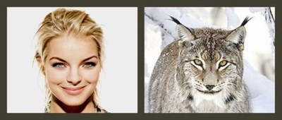 If celebrities Looked Like Animals