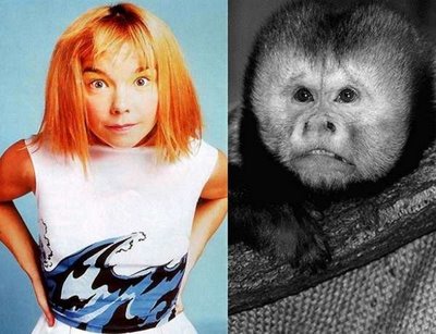 If celebrities Looked Like Animals