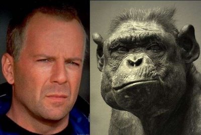 If celebrities Looked Like Animals