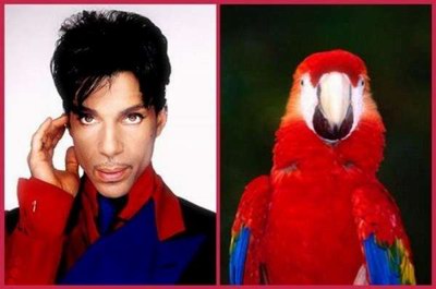 If celebrities Looked Like Animals