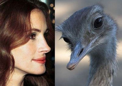 If celebrities Looked Like Animals