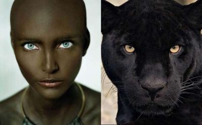 If celebrities Looked Like Animals